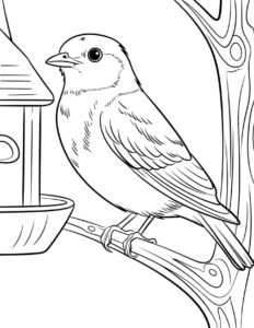 15 Free Bluebird Coloring Pages for Kids and Adults (PDF Printables ...