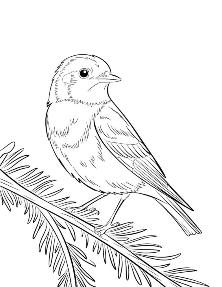 15 Free Bluebird Coloring Pages for Kids and Adults (PDF Printables ...