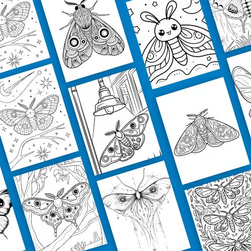 15 Diverse Moth Coloring Pages