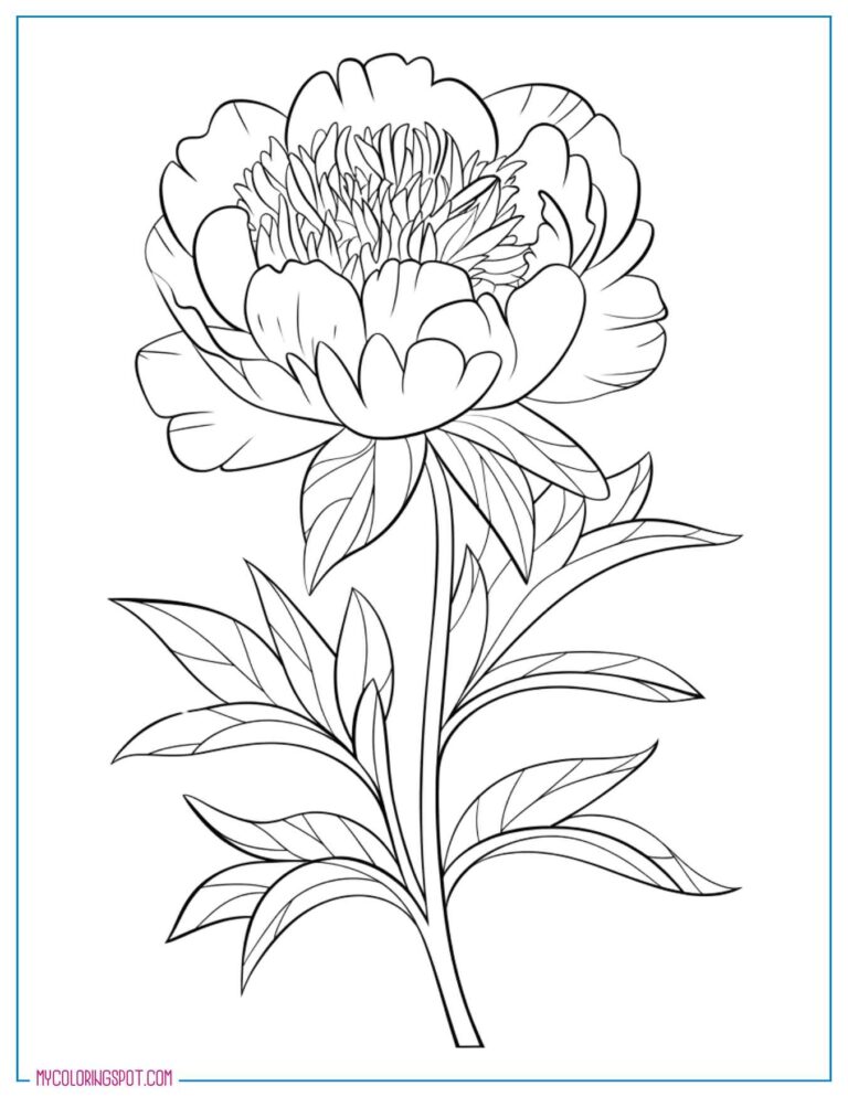 20 Free Peonies Coloring Pages for Adults and Kids – My Coloring Spot