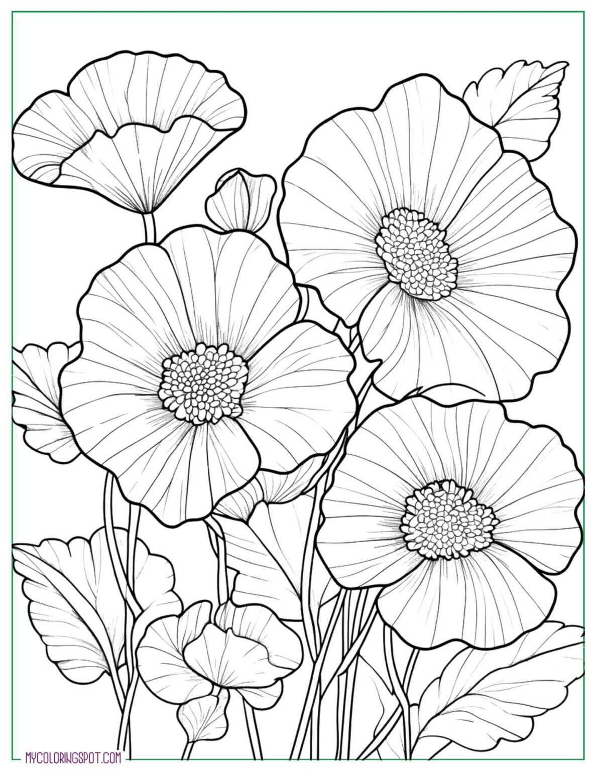 58 Free Flower Coloring Pages for All Ages – My Coloring Spot